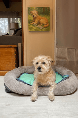 Pet Parent Gallery 5